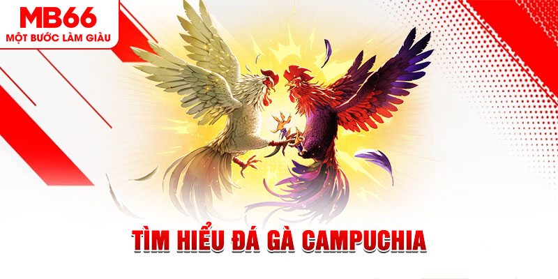 777vin tại sao không tải được nổ hũ