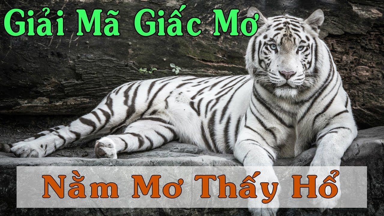 777vin xổ số miền trung