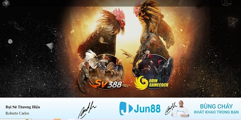 777vin xổ số miền nam hàng tuần
