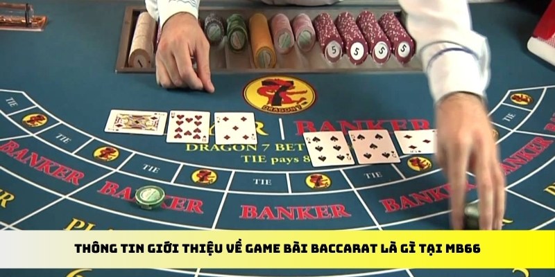 777vin xổ số trực tiếp miền bắc