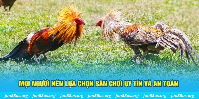 777vin hơn cả bạn bè