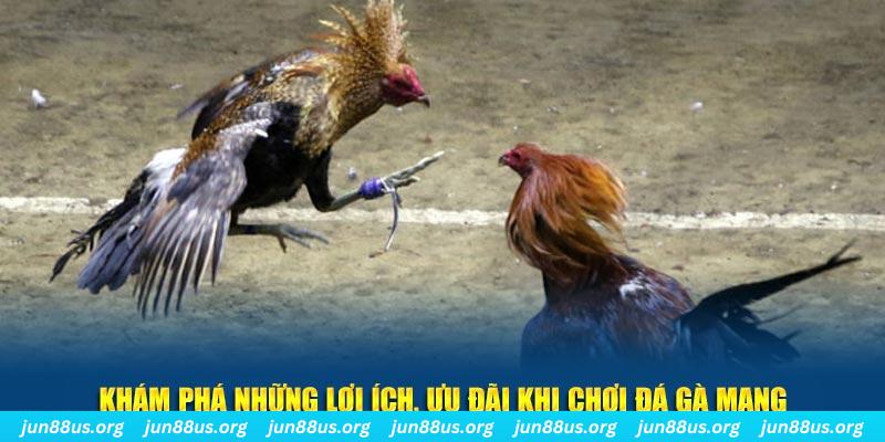 777vin Tài Xỉu 2