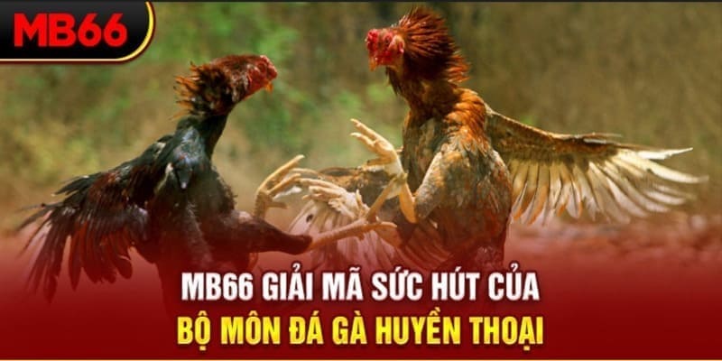 777vin long bảo trong baccarat là gì