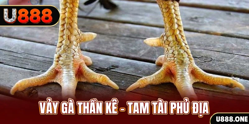 777vin xổ số 30 ngày