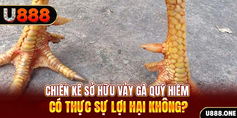 777vin game cá cược máy bay