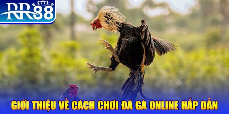 777vin nổ hũ 2 mặt là gì