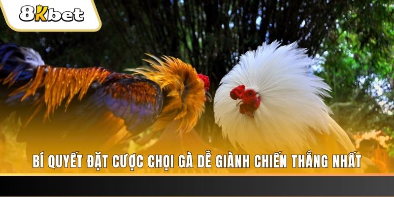 777vin may club nổ hũ
