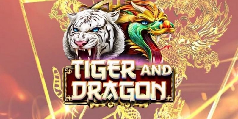 777vin cá cược tiếng anh là gì